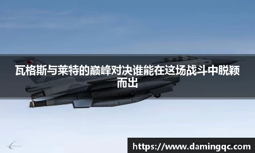 智博19有限公司